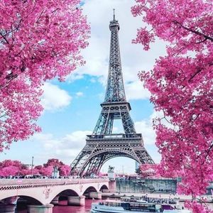 Meet your Posher, Roxx&